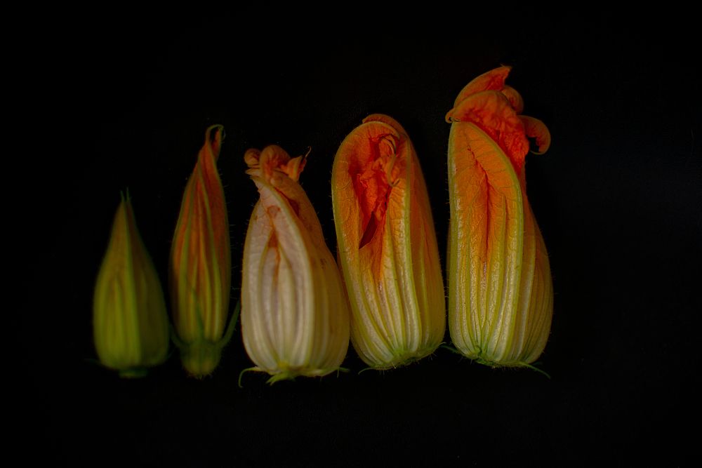 Photograph by Наталия Комаровская