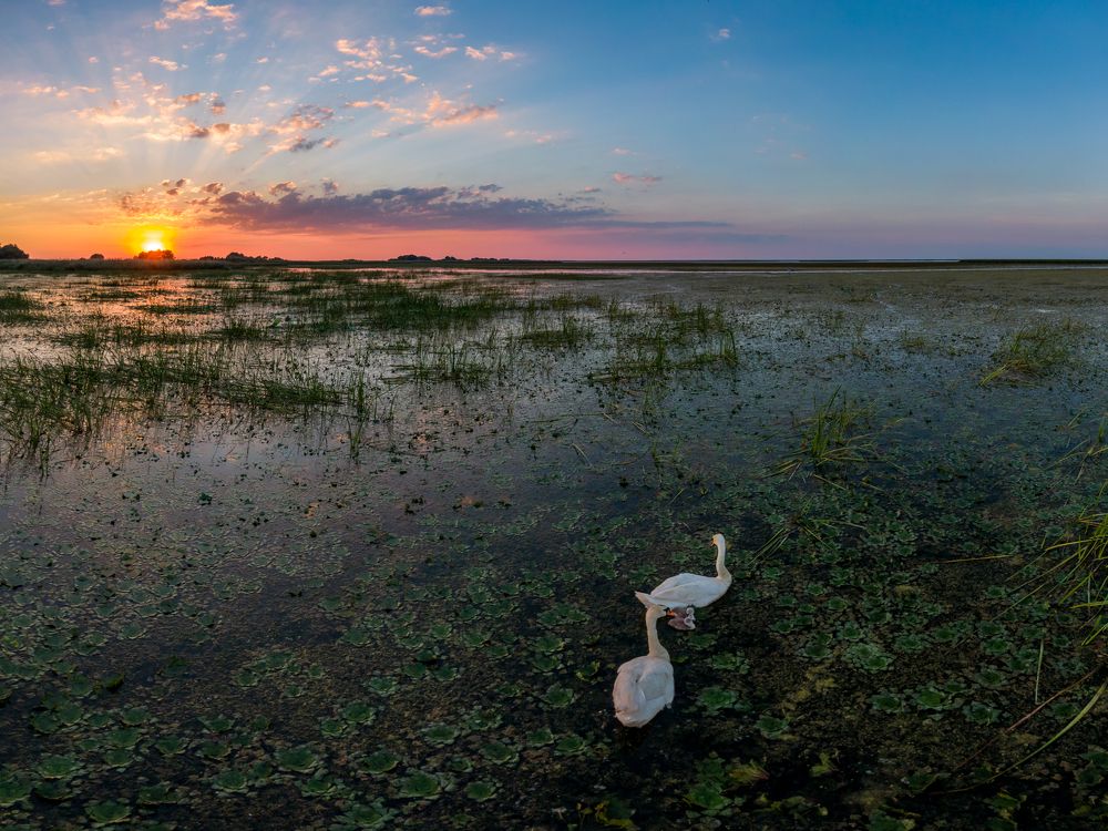 Photograph by Алексей Кашин