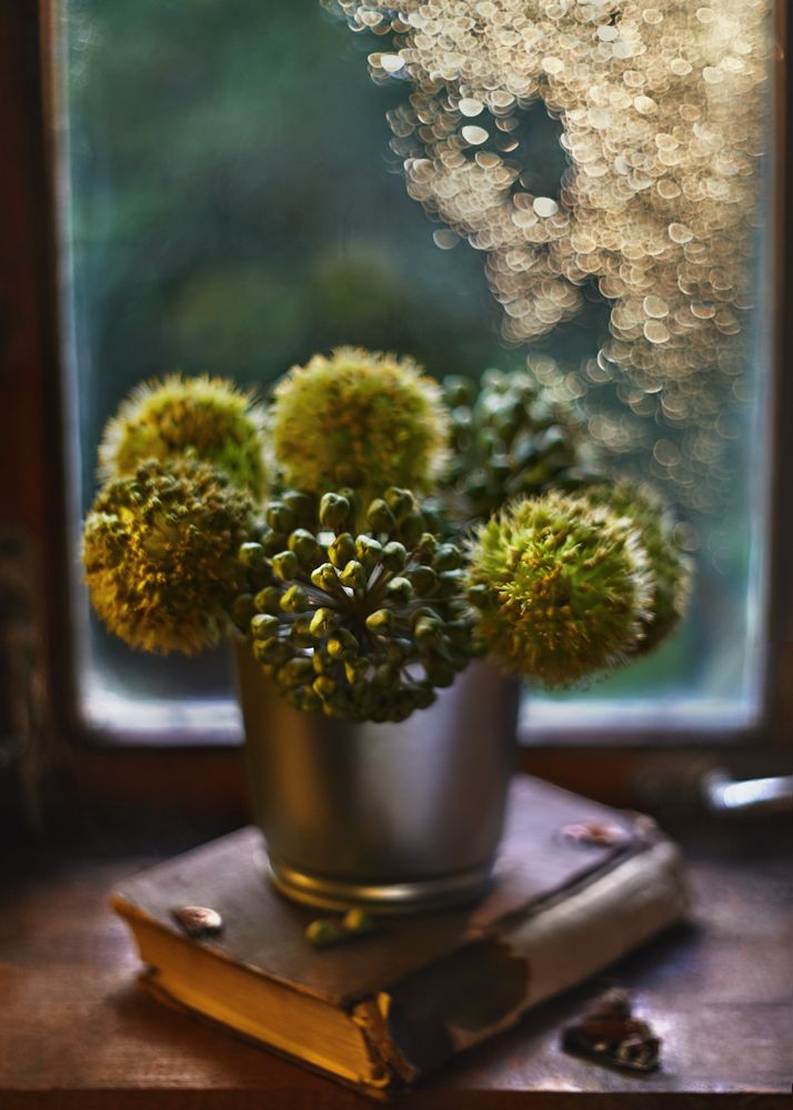 Photograph by Екатерина Глебова