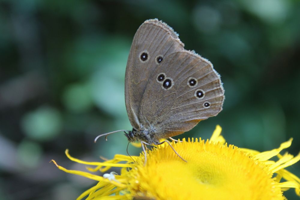 Photograph by Yordanka Vasileva