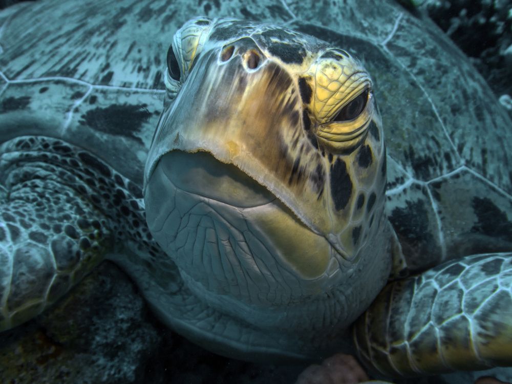 Photograph by Дмитрий Челноков