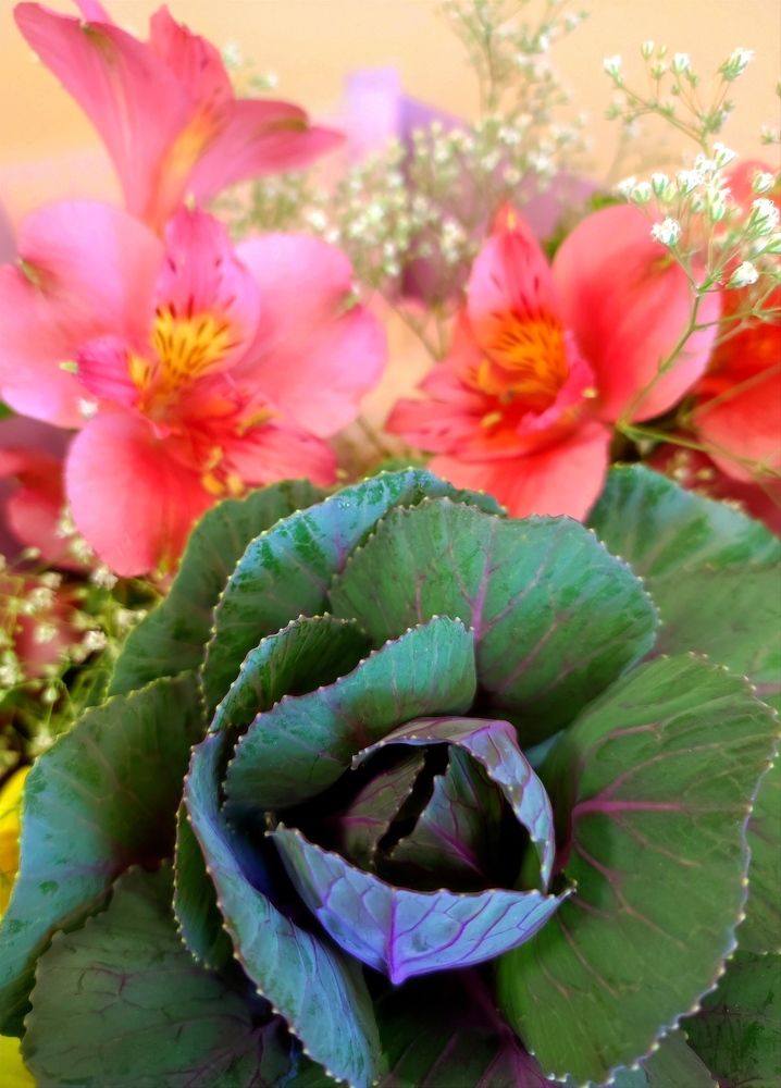 Photograph by Надежда