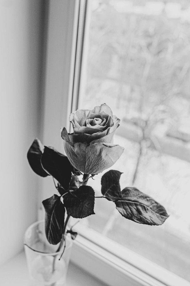 Photograph by Елена Кудейкина