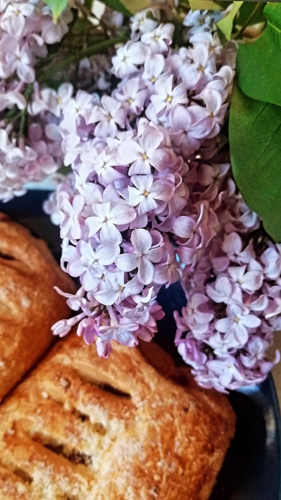 Photograph by DARIA DEMINA