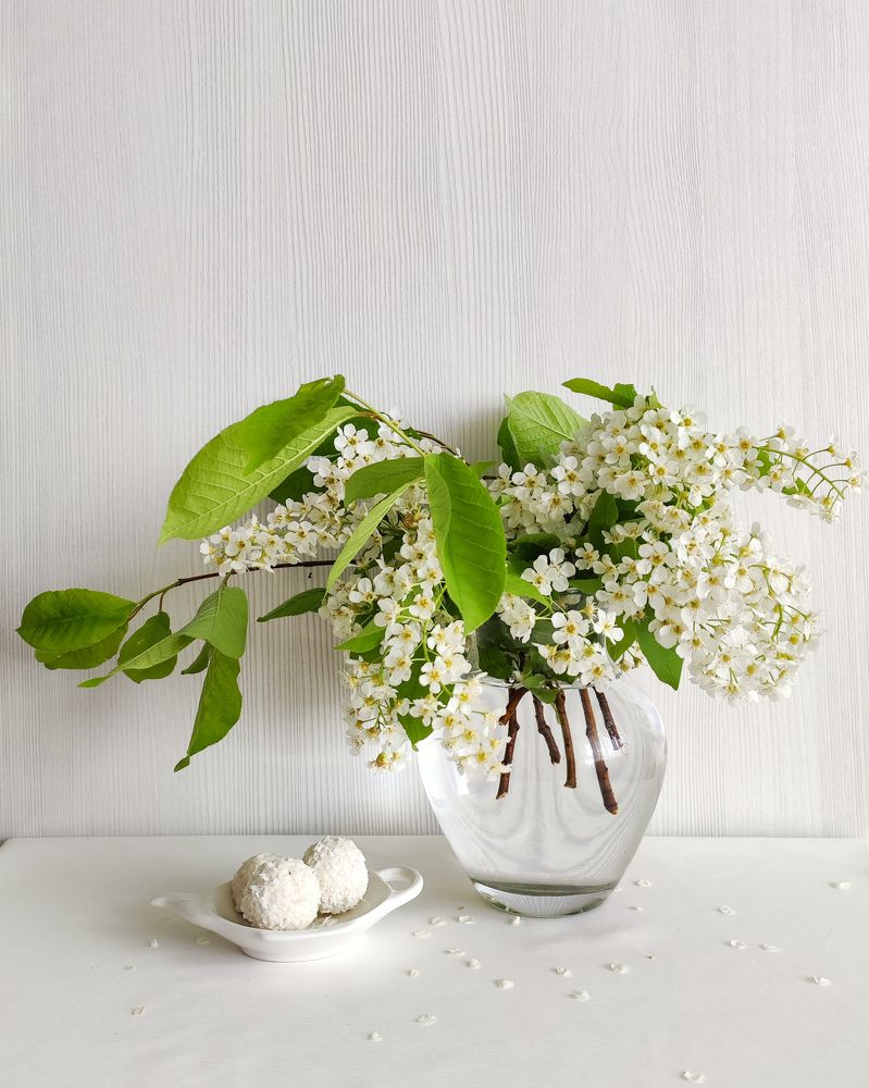 Photograph by Татьяна Парамонова