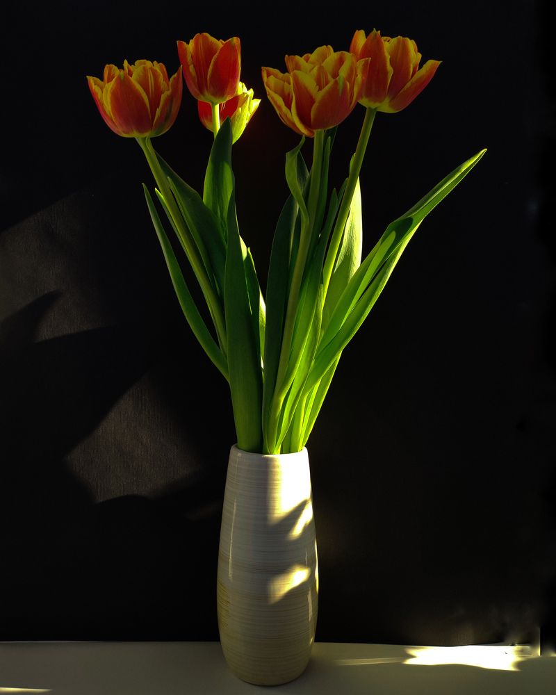 Photograph by Татьяна Парамонова