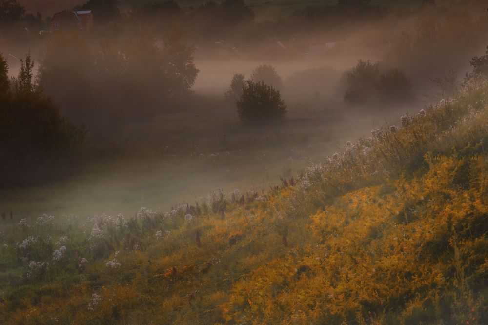 Photograph by Сергей Абашкин