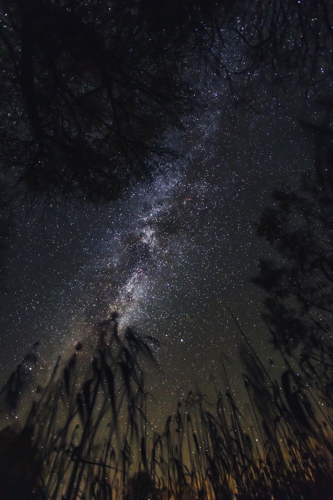 Photograph by Алексей Кашин