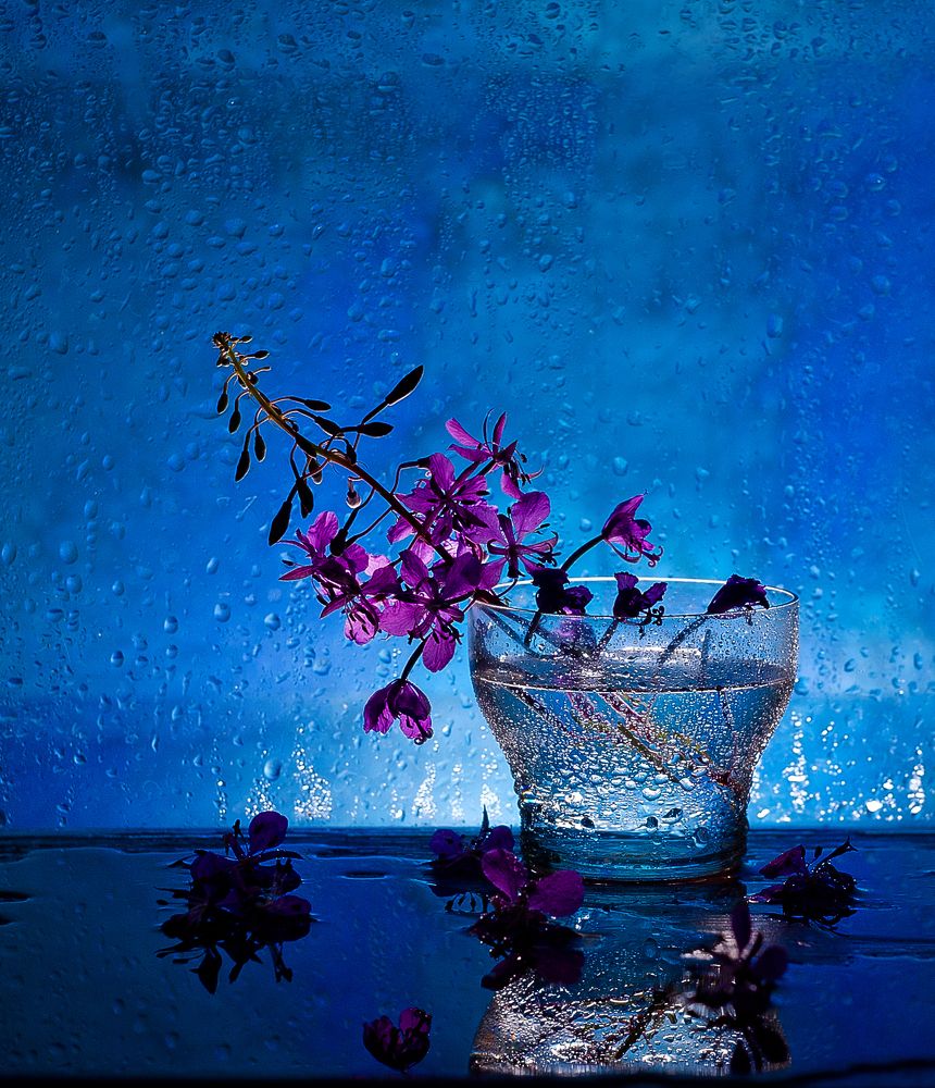 Photograph by Виктория Уварова