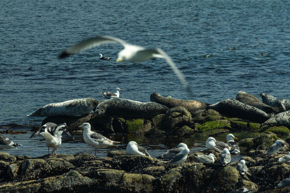 Photograph by Екатерина Долгова