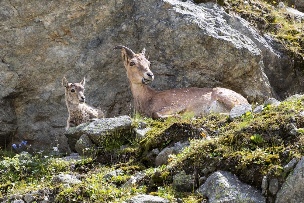 Photograph by Константин Кукушкин