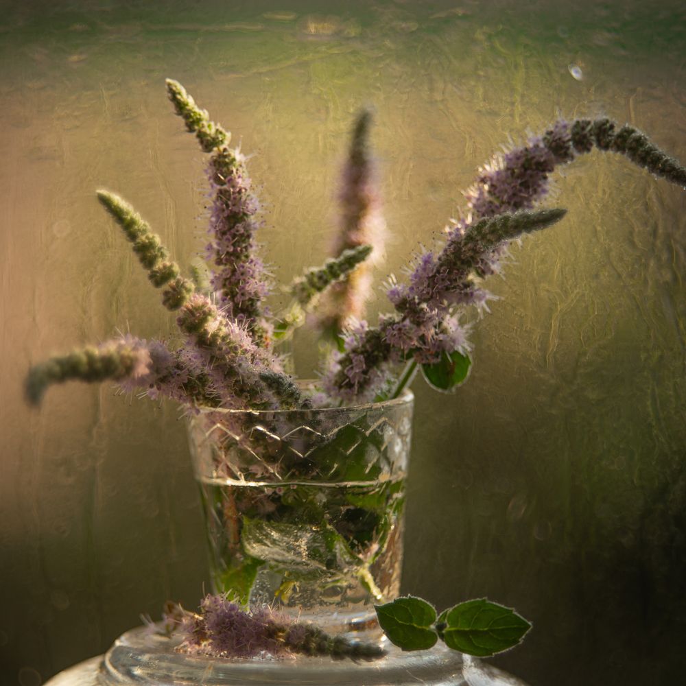 Photograph by Наталия Комаровская