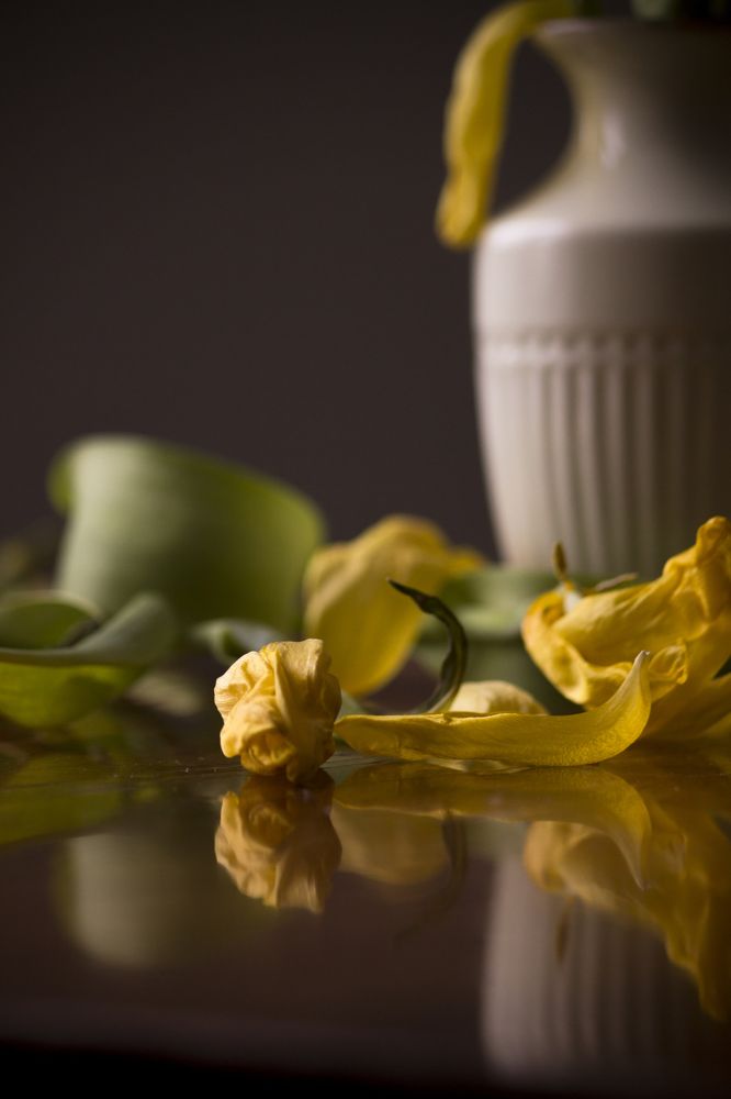 Photograph by Юлия Мешаева