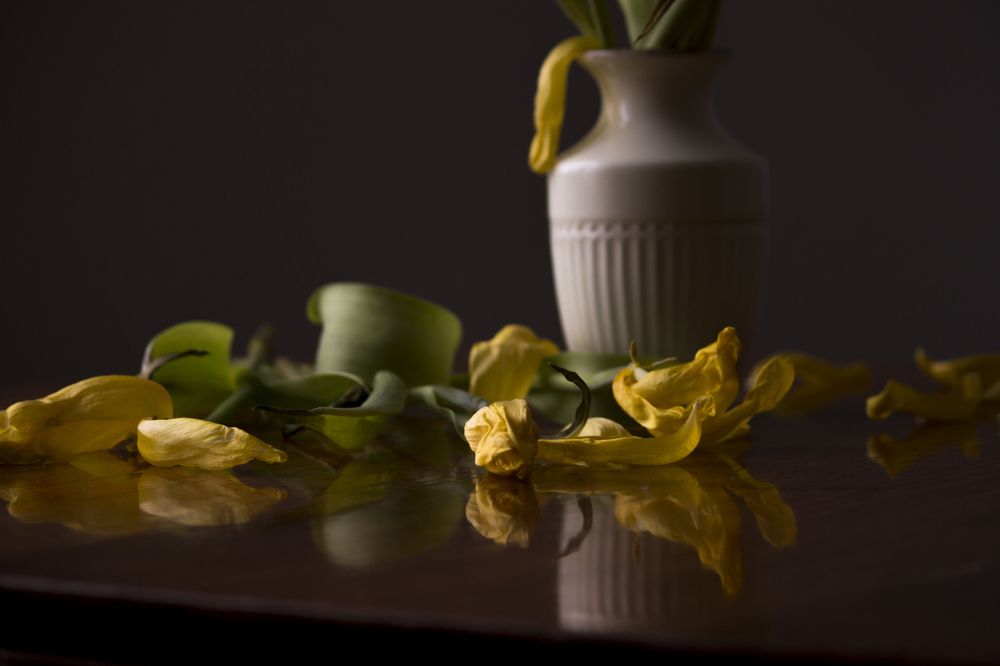 Photograph by Юлия Мешаева