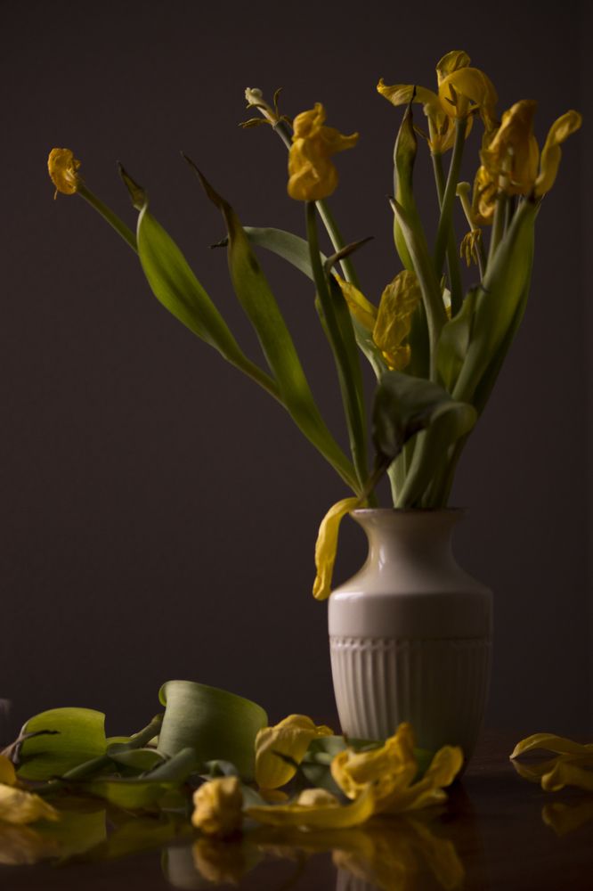 Photograph by Юлия Мешаева