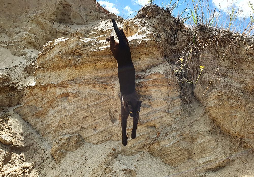 Фотография автора Надежда Лисицына