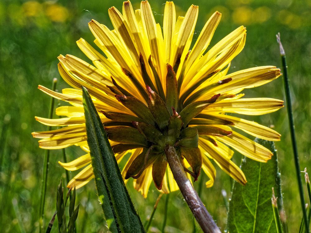 Photograph by Павел Кулинич