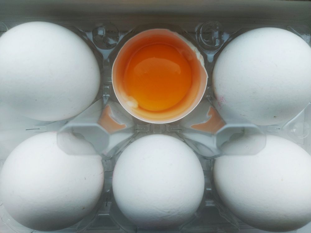 Фотография автора Елена Ерешко