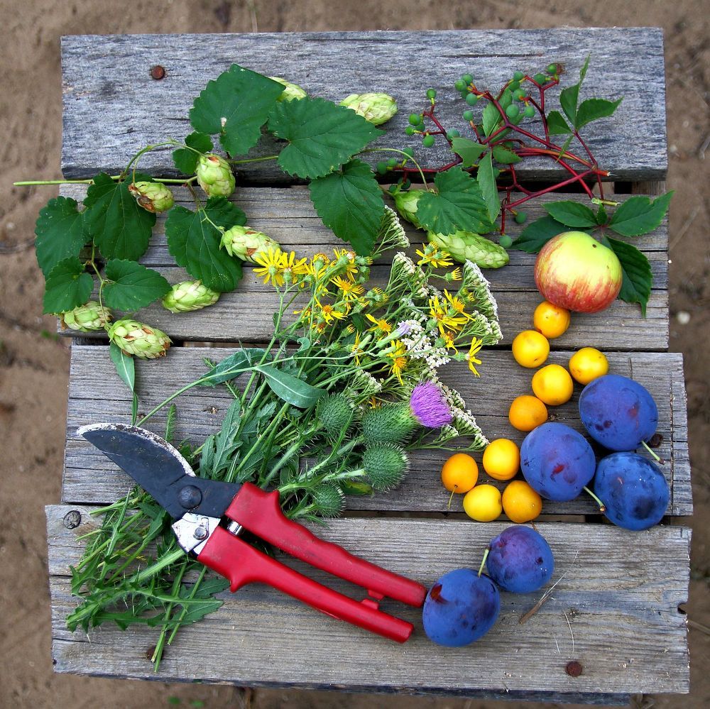 Photograph by Юрий Варюхин