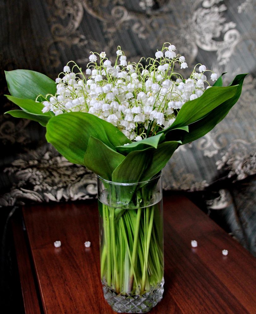 Photograph by Виталий Симоненков