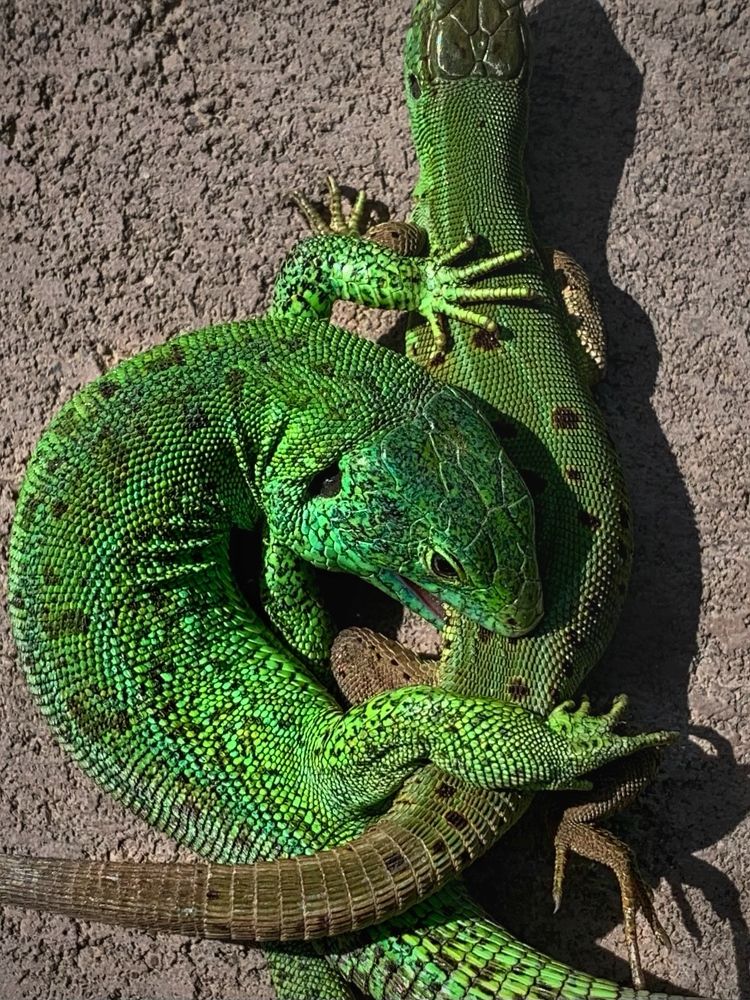 Photograph by Татьяна Семёнова