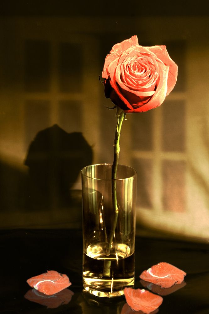 Photograph by Голованов Николай