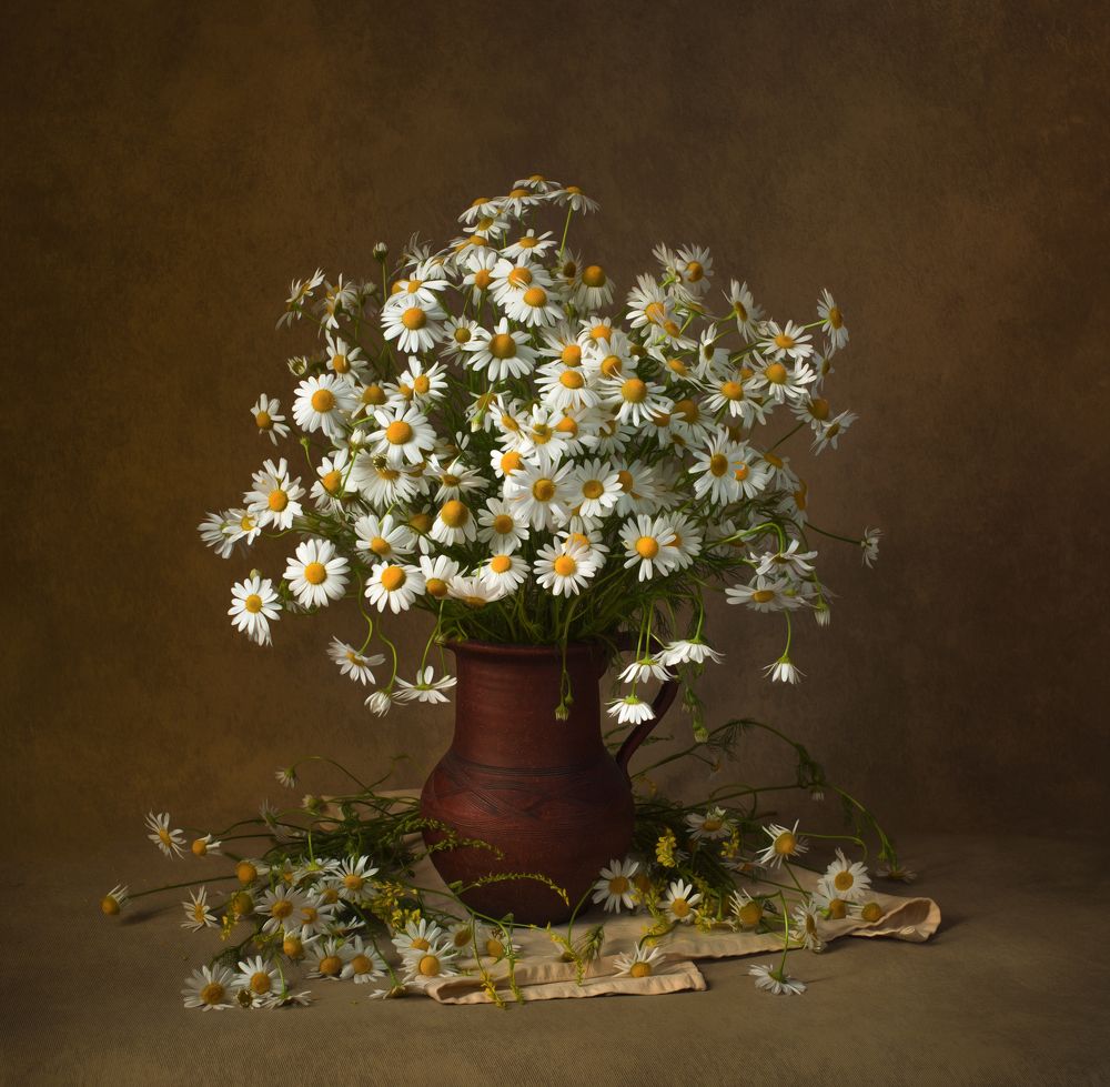 Photograph by Михаил Славный