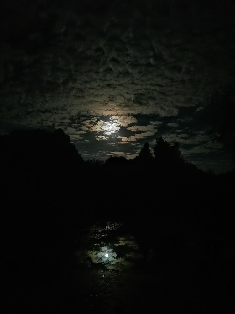 Августовская ночь.