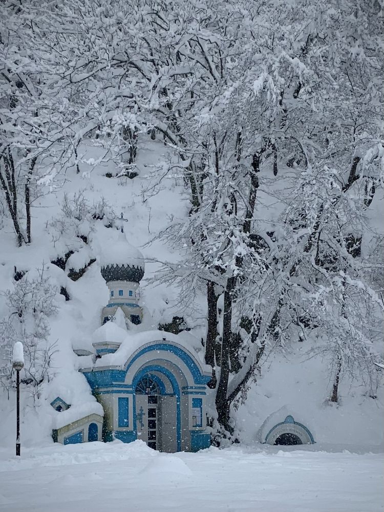 Photograph by Татьяна Семёнова