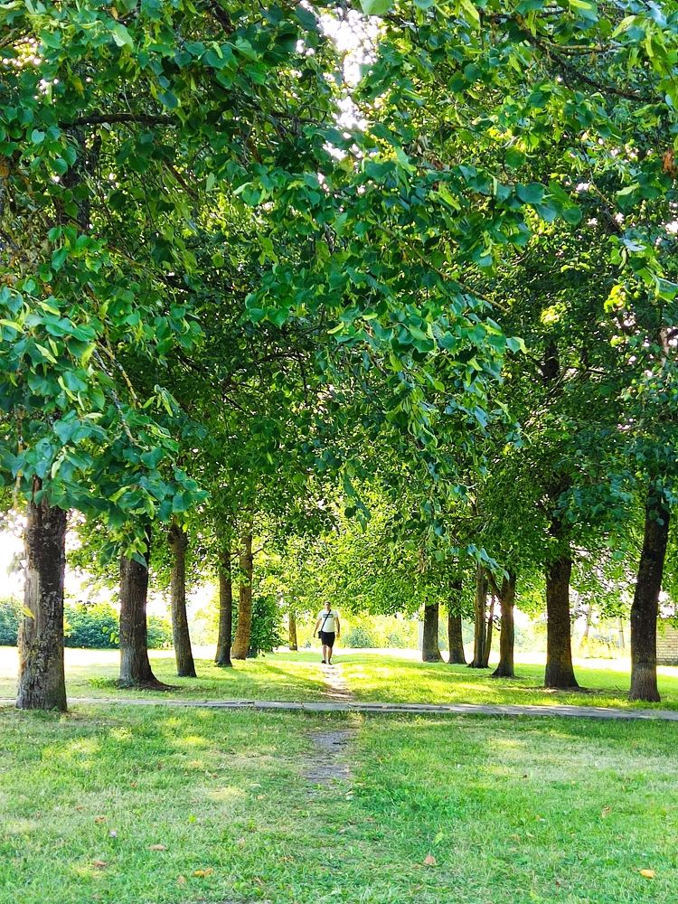 Photograph by Александр