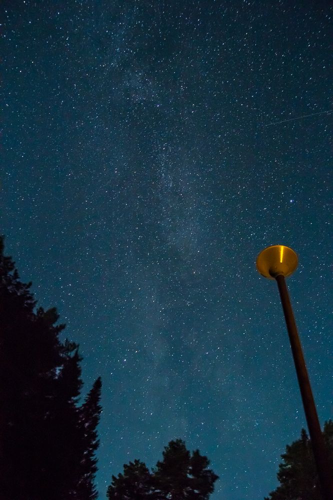 Photograph by Виктория Мамаева