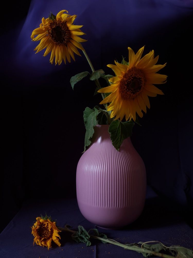 Photograph by Olga Vinogradova