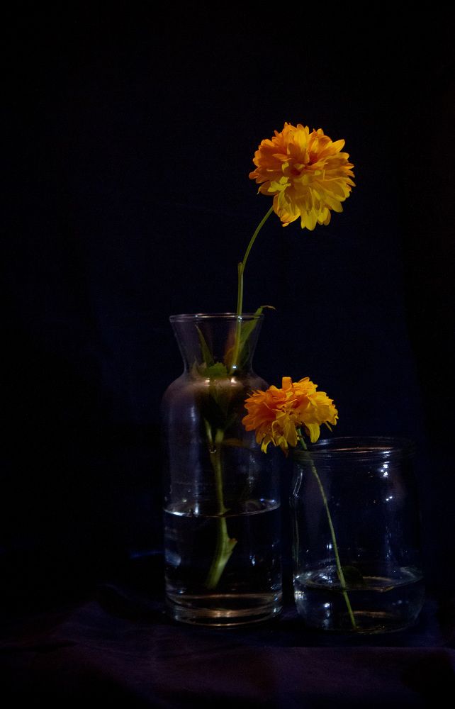 Photograph by Ольга Левакова