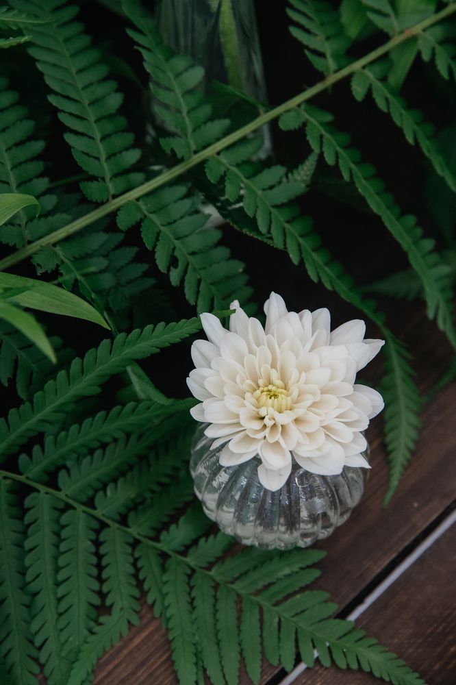 Photograph by Элина Ларченкова