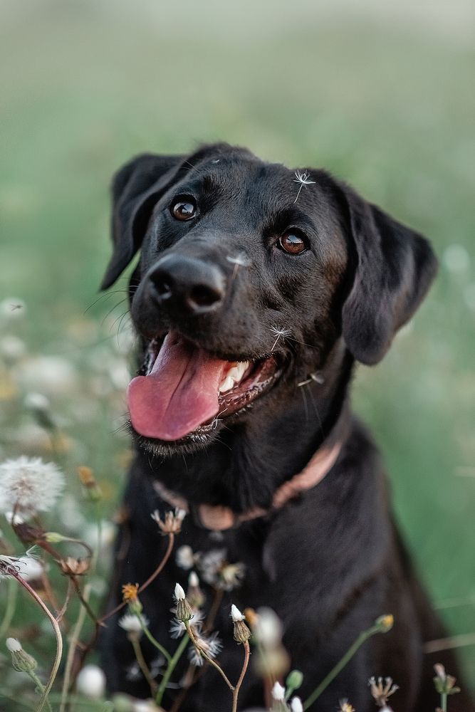Photograph by Надежда Гдалевич