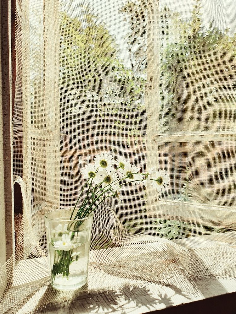 Photograph by Olga Vinogradova