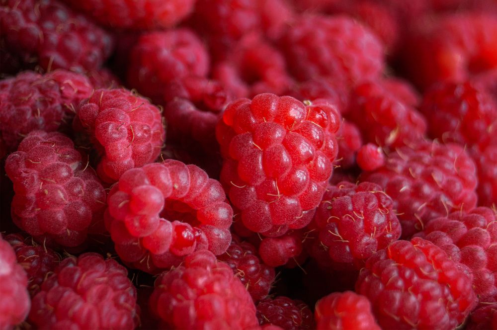 Photograph by Максим Гусаров