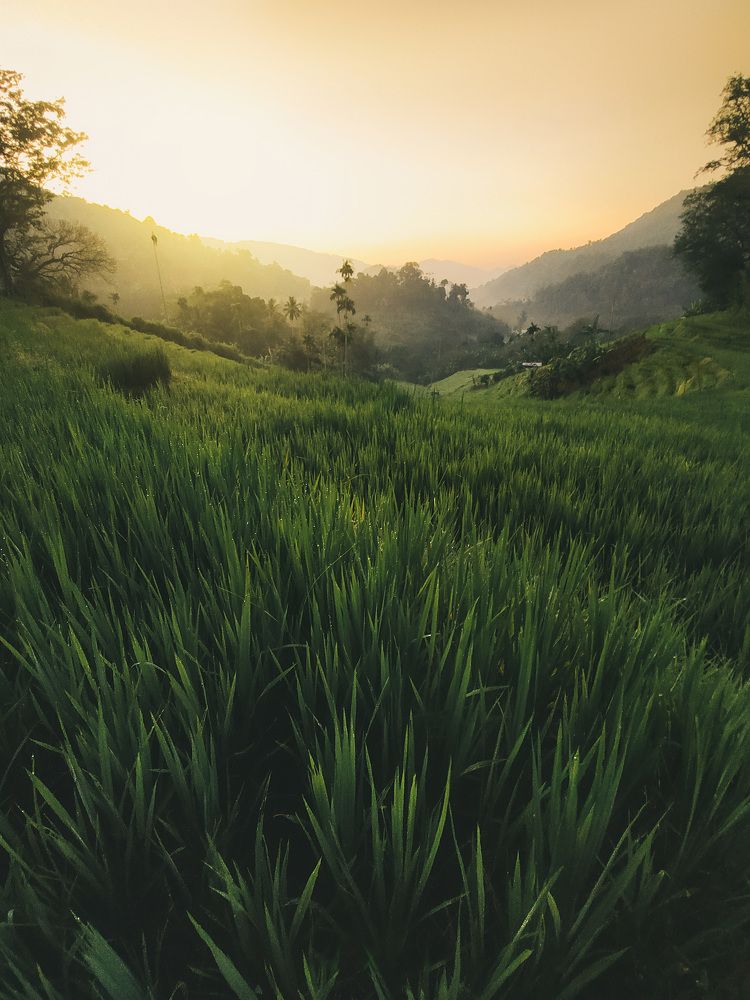 Morning Light of the day