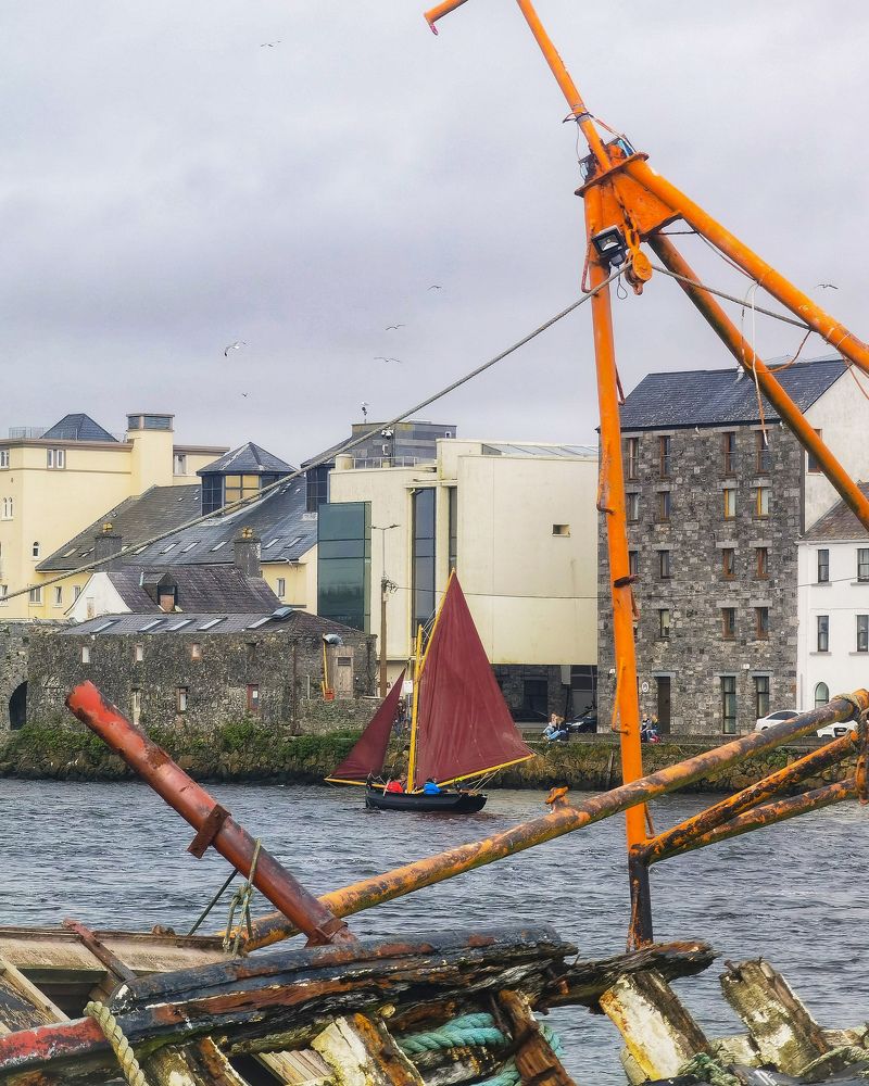 Photograph by Michael Deligan