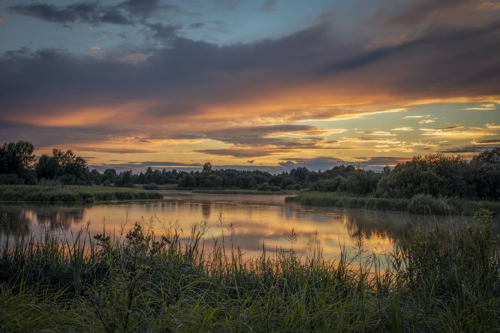 Photograph by Гусева Елена