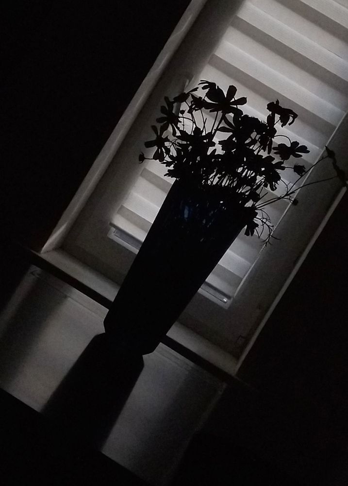 Photograph by Ольга Заповедная