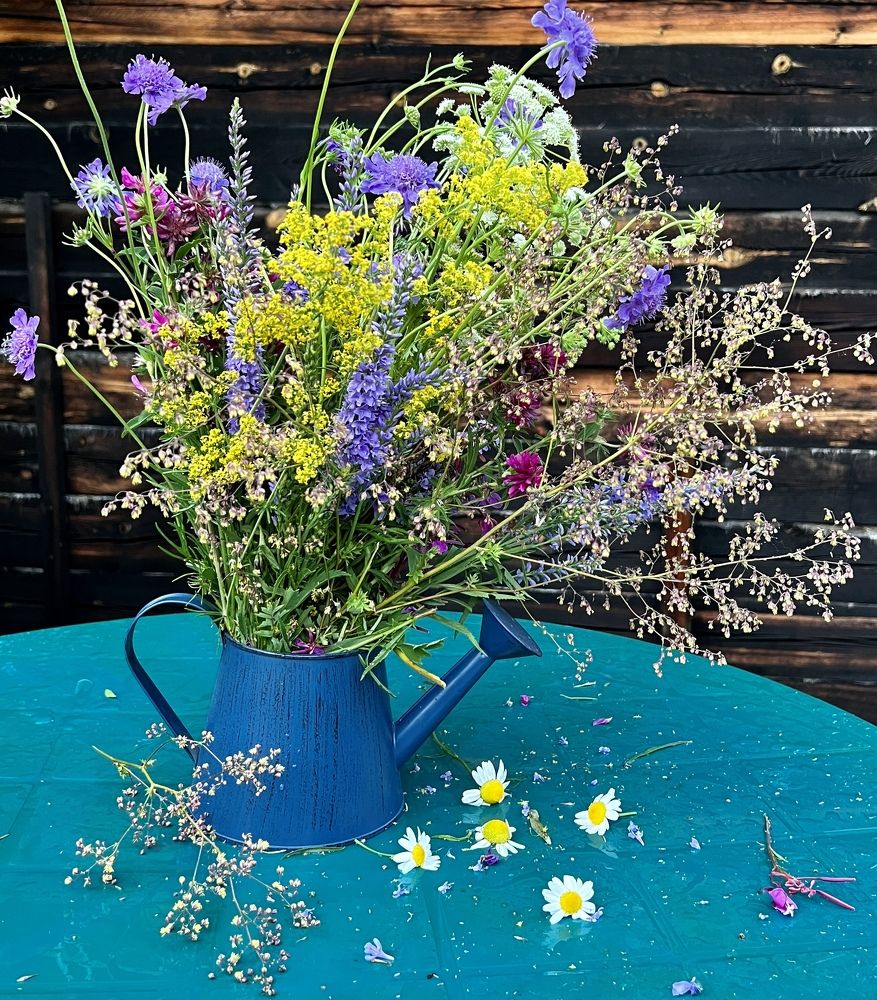 Photograph by Елена Мизина