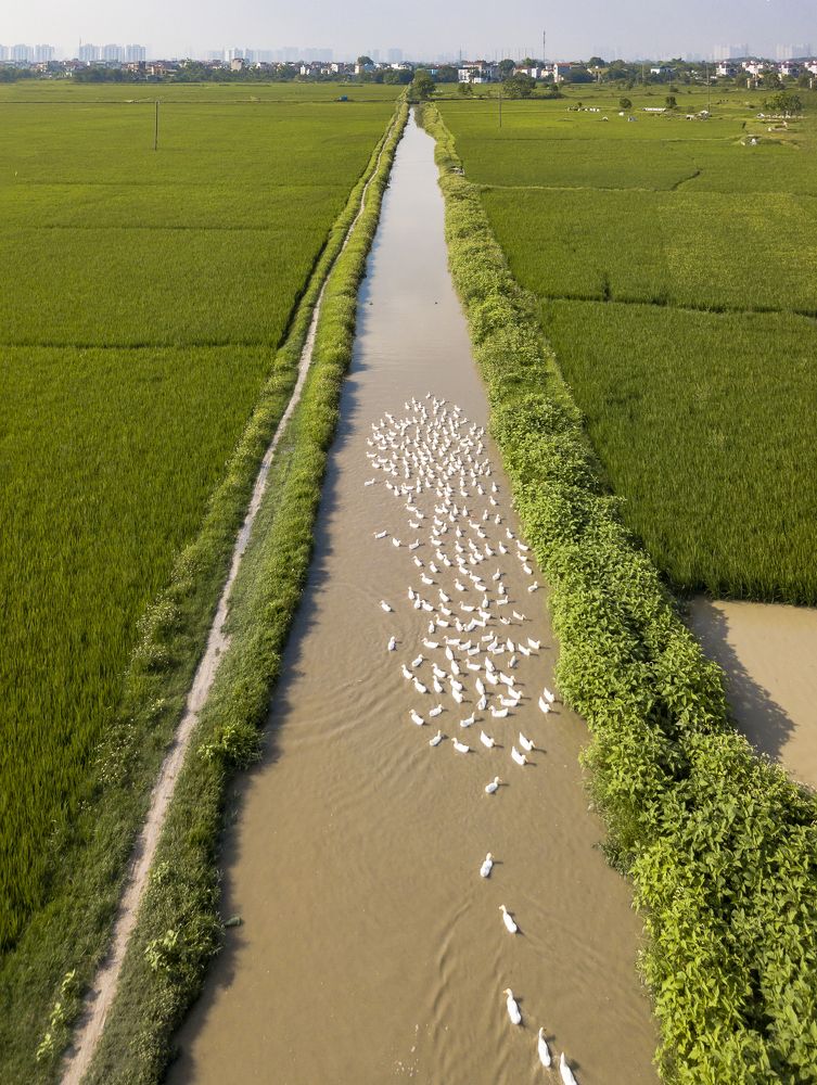 Photograph by Trần Anh Tuấn