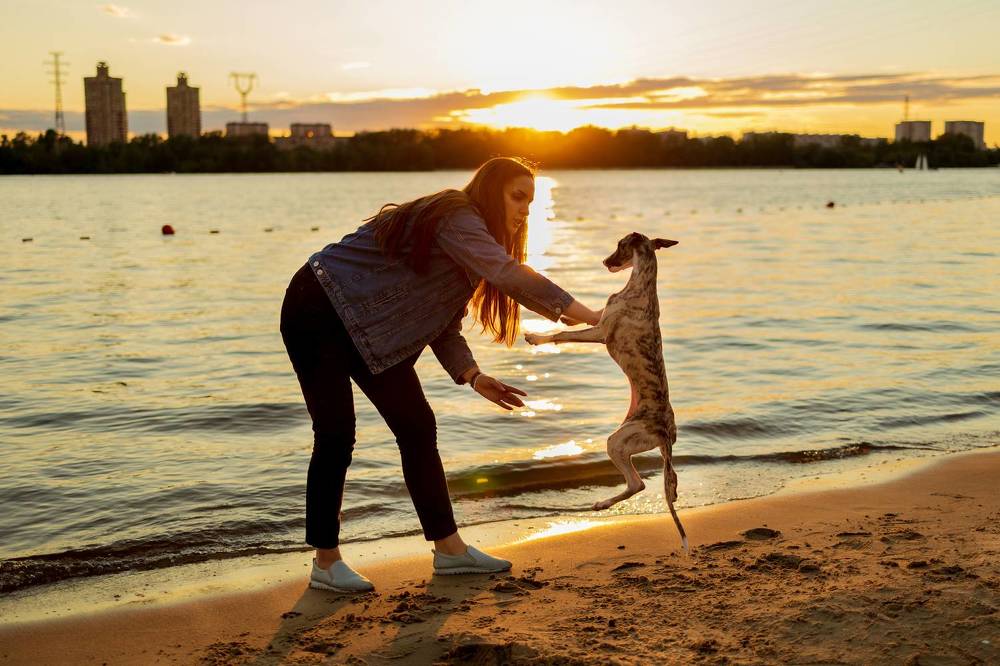 Photograph by Наталья Танака