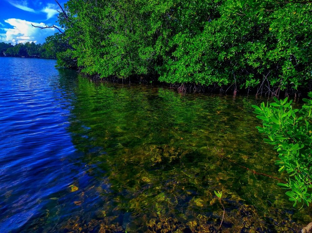 Photograph by Husayn RIUHAIRIU