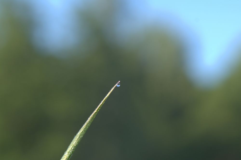 Photograph by Дмитрий Павлов