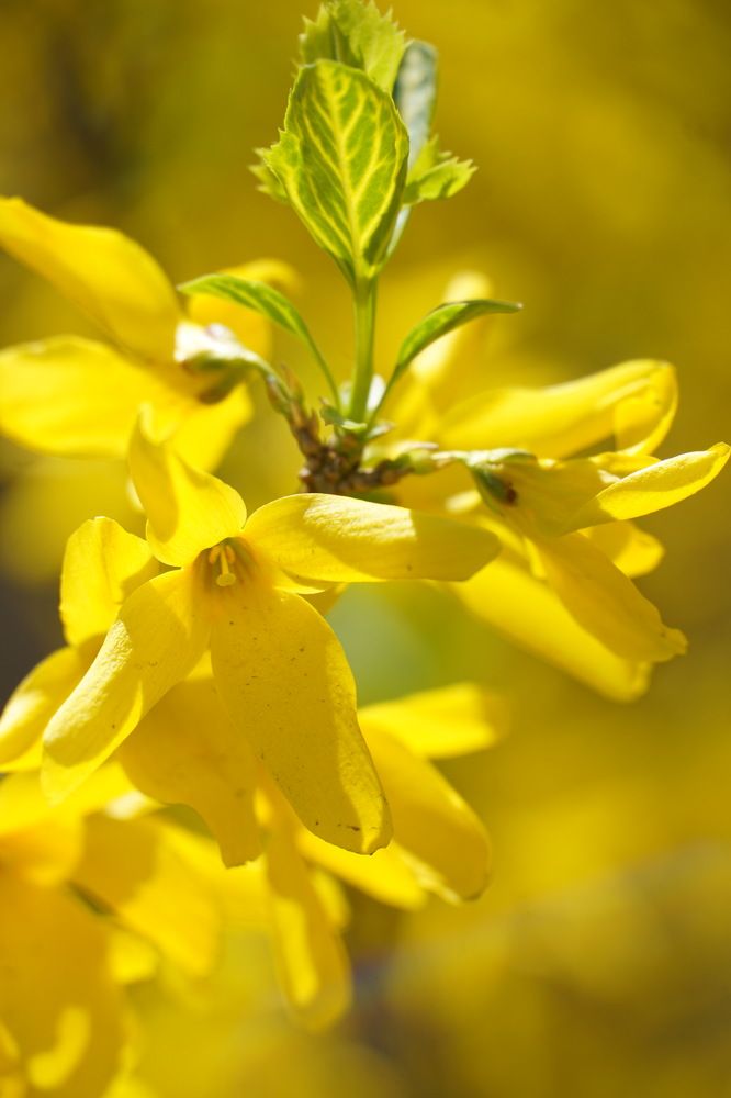 Photograph by Елена Будычева