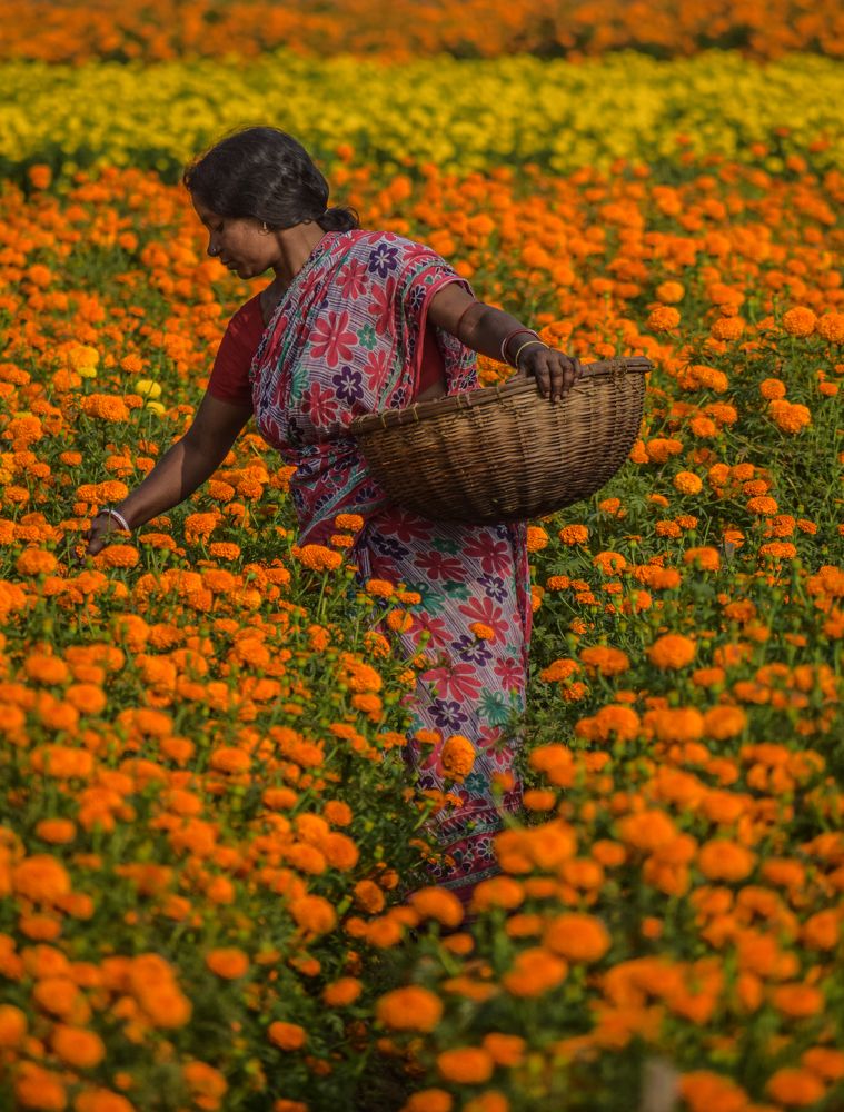 Фотография автора Soumyadip Mondal