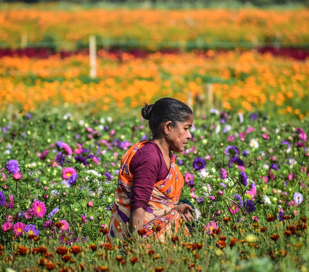 Фотография автора Soumyadip Mondal