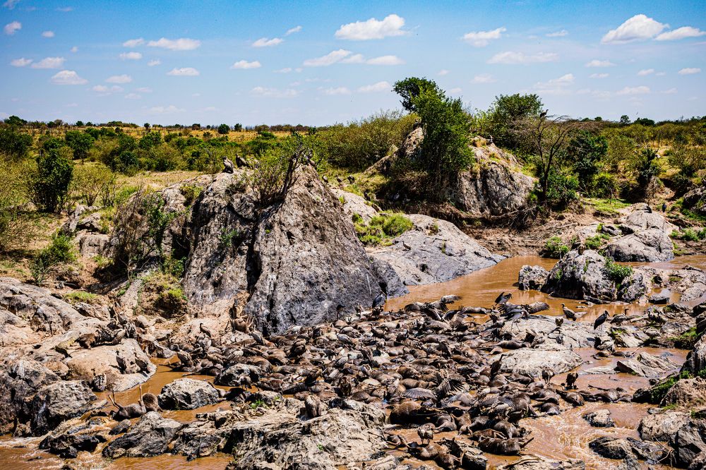 Photograph by Antony Trivet